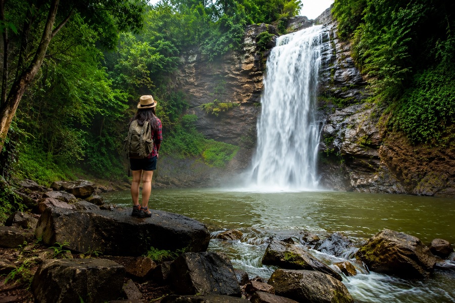 Waterfall Nature Tours